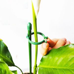 5 stcs 30/60/90 cm Plant Flower Potsted Support Stand Tomaten klimhouder Stak Stak Stander Fixing Tool Garden voor orchidebonsai A1