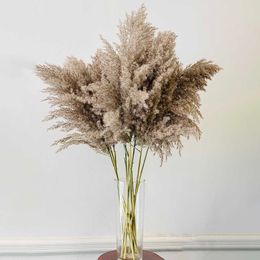 5 stks / bos 50-60 cm Natuurlijke Reed Directe Bloem Grote Pampas Grass Boeket Home Wedding Decoratie Herfst Decor DIY Directe Riet Bloemen 210624