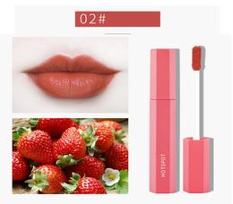 5pcs Fruit Extract Lip Bloss étanche à la glaçure antiadhésive Glaze à lèvres mat