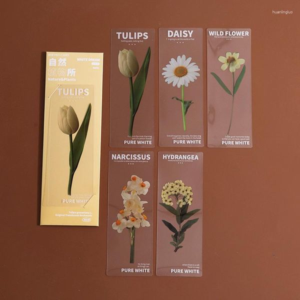 5 pièces plantes naturelles fleur série signet Pvc translucide lecture livre marque rétro Page marqueur papeterie fournitures