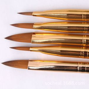 5 stks nieuwe nagelborstels Acryl 3D -schildertekening Tekening UV gel Diy borstel Pen Tool Nail Art Set #R498