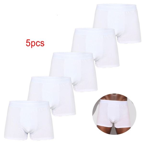 5 pièces Pack blanc hommes culottes sous-vêtements en coton mâle marque Boxer et caleçons pour Homme ensemble de luxe Shorts boîte Slip Kit 231225