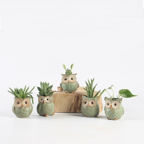 5pcs/set Ceramic Forma de búho Garden Flower Desk Bot