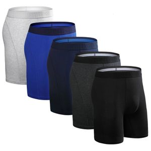 5 pièces ensemble hommes Boxer longue jambe sous-vêtements caleçons hommes culottes coton Sexy BoxerShorts marque Slip 240105