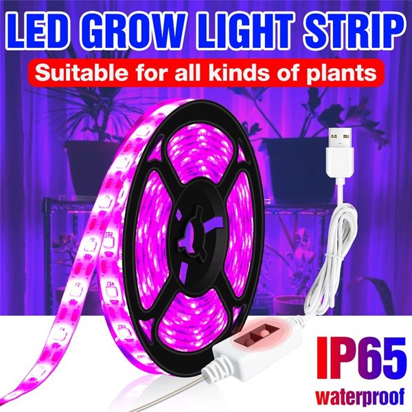 Luz LED de 5V para cultivo, 1M-3M, Sensor de barrido manual, cinta Flexible para plantas, lámparas Phyto USB impermeables para caja, cultivo de semillas de plantas