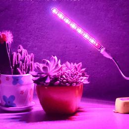 5V LED poussez la lumière USB PHYTO Lampe Full Spectrum Fiolampy IR UV Rouge Rouge pour plantes Semis Fleur Intérieur Fiolamp Grow Box W220312