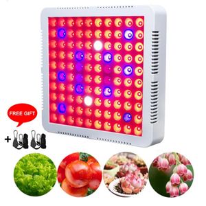 Volledig spectrum LED-groeilicht 300W 600W 900W 1200W 1500W Phyto-lamp met hoge helderheid Dimbare madeliefjeketen Binnenbloemtent Plantengroei Phytolamp