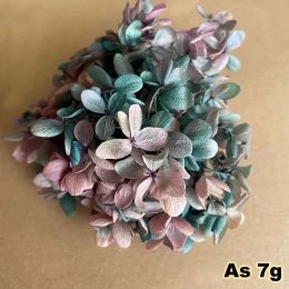 6,5 g / environ 3 ~ 4 cm Pétal de fleur, vraie naturel fraîche naturel Fleurs de bois séché Hortensia Flear Head, éternelle à grande feuille d'hortensias