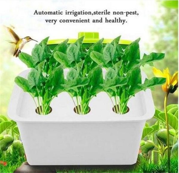 6 trous Site de plante Système hydroponique Kit de culture Kit Bubble Cabinet de jardin intérieur