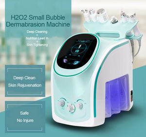 Machine portative de nettoyage du visage à oxygène, jet d'eau 6 en 1, avec détection de la peau