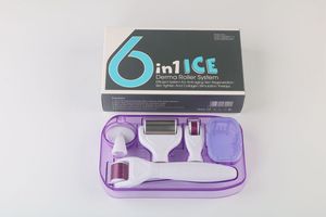 6 en 1 Micro-needle Roller Kit DRS Dermaroller ice roller / 300/720/1200 Needles Derma roller Kit con embalaje para la venta al por menor.