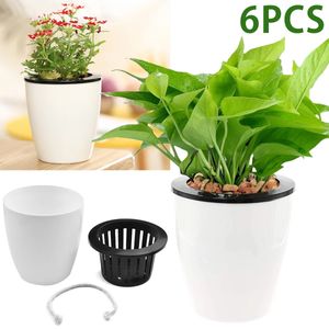 6 Pack Hydroponic Bloempot Plastic Zelf Water Water Planter Bloempot Kantoor Tuinplanten Mand Kwekerij Potten Home Decoratie 240415