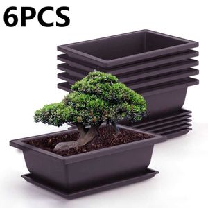 6 Piece Bonsai Pots-Classic Deep Wet Tray Plastic Garden Planters Flowers Herbs Plastic Square Pots Square Desktop Home Decor 210615