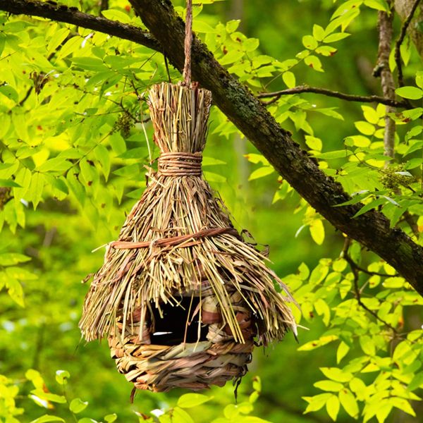 6 Birds de style nid oiseaux Cage d'herbe naturelle Egg House Outdoor Decorative Feved suspension Perrot Houses pour animaux de compagnie 240416
