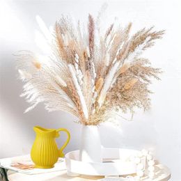Bouquet d'herbes des marais séchées, 60 à 130 pièces, décoration nordique pour la maison, fleurs séchées, décor de mariage, Thanksgiving