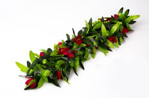 60/70cm [2 pieds] Couronnes de feuilles dichroïques avec des fleurs de jasmin 12pcs / lot couronne de fleurs de style hawaïen pour la décoration de mariage / maison / fête