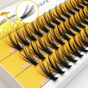 60 Bundlesbox 102030d Clusters individuel Coussin pour cils naturels de vision Natural Makels Tools Professional Makeup Lash Wholesale 240407