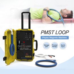 6000 Gauss draagbare trolleykoffer met hoog vermogen Pijnverlichting Revalidatie Fysiotherapie Machine Physio Magneto PMST LOOP PEMF-lus voor botreparatie