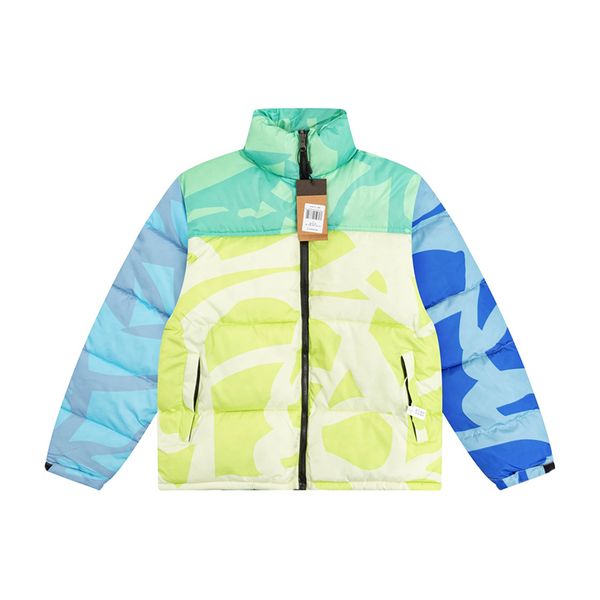 

mens winter jacket women down hooded embroidery north warm parka coat face men puffer jackets letter print outwear multiple colour printing, Black