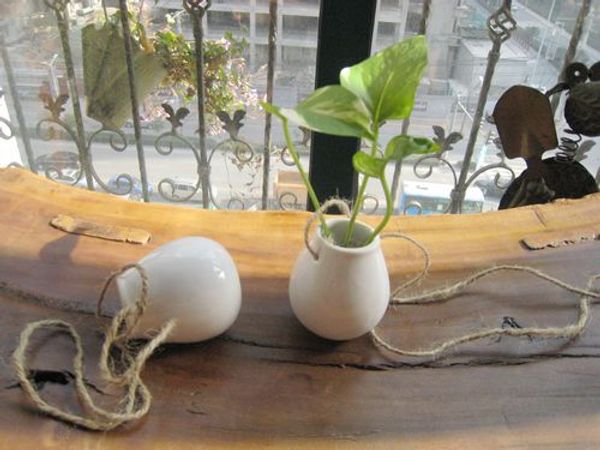 White Egg Shape Ceramic Succulent Planter Terrarium Hanging Vase