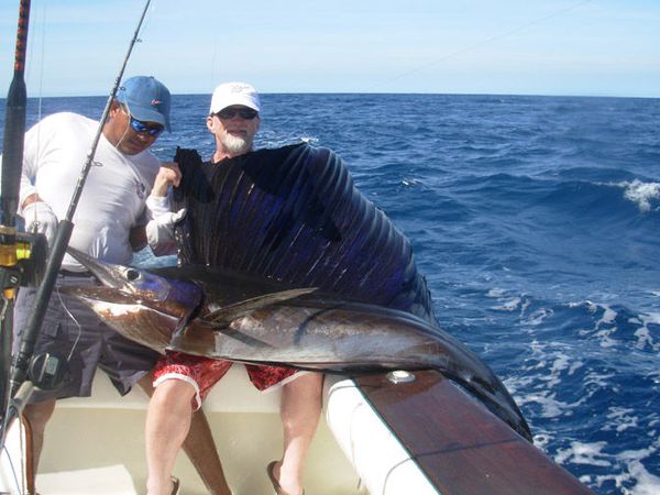 

180cm big game boat yacht off shore trolling fishing rod