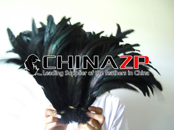 

Decoração de Festa chinazpfeathers