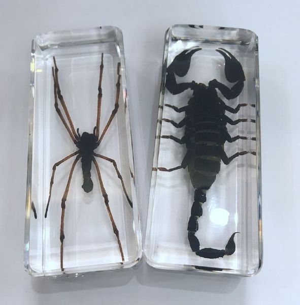 

yqtdmy 2 pcs vintage black scorpion spider insect deskpaperweight crafts, Silver