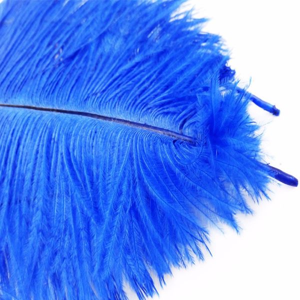 ostrich feathers bulk uk
