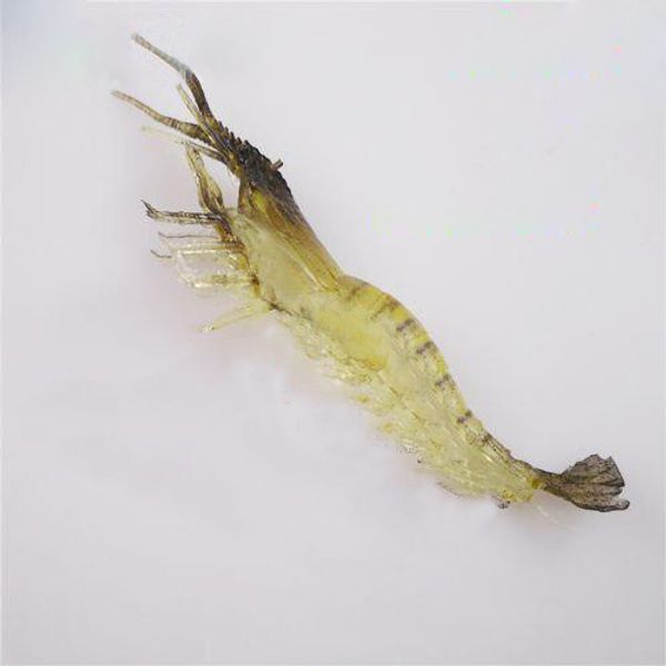 

hipping hk/ca post 100pcs/lot [10cm, 4.2g] soft fishing lure artifical shrimp bait for fishing