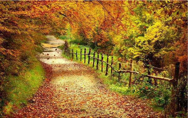 

wall paper 3d bucolic landscape wallpaper mural wall stickers wallpaper papel de parede wallpapers20153026