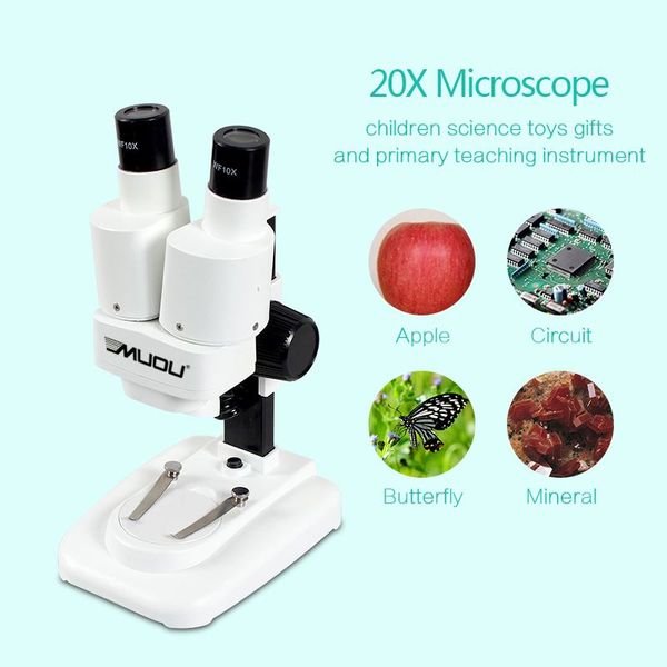 Freeshipping 20X LED Microscopio stereo binoculare PCB Strumento di saldatura Pianta di insetti Guarda Studenti Microscopio educativo scientifico Regalo per bambini No USB