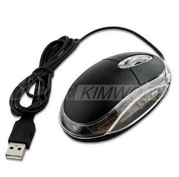 

Mouse kimwood1608