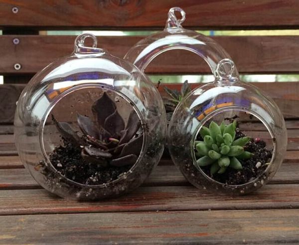 Hanging Globe Terrariums Indoor Succulent Gardenig For