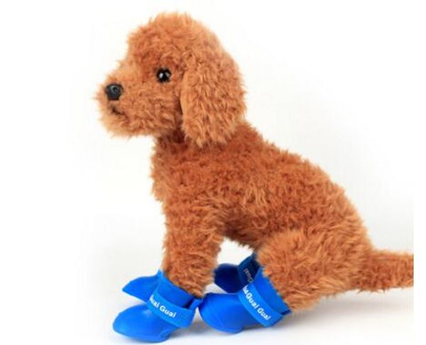 dog rain shoes