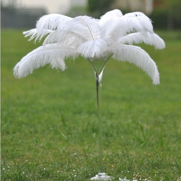 20 ostrich feathers