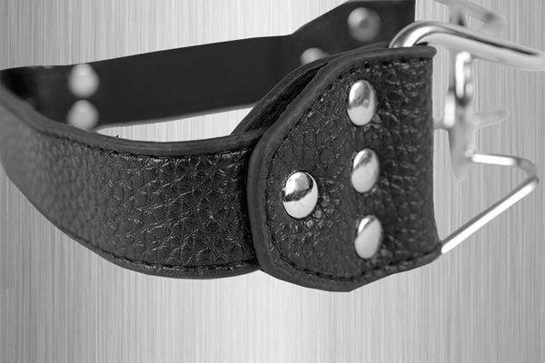 

fetish fantasy spider stainless steel open leather games gear for ring gag slave cbt mouth oral bondage toy xnxxw