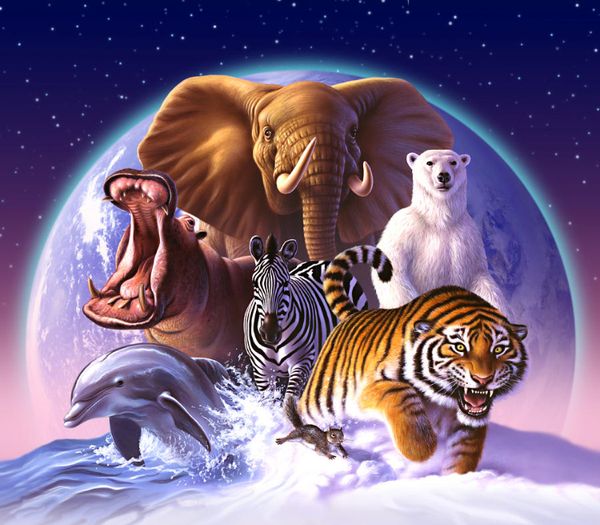 Acheter Le Tigre De Zoo Peinture Sur Toile Giclée Coucher De