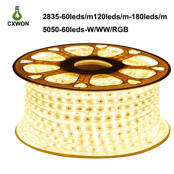 Strisce luminose a LED decorative 1M Tagliabile AC110V 220V Luce a corda flessibile SMD5050 SMD2835 Luce brillante Impermeabile dimmerabile per edifici per uffici domestici