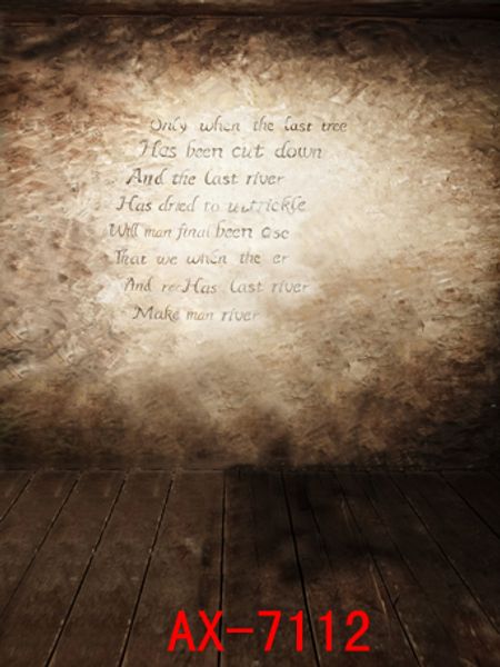 

graphy backdrops custom portrait cloth digital printed p props p studio background ax-7112