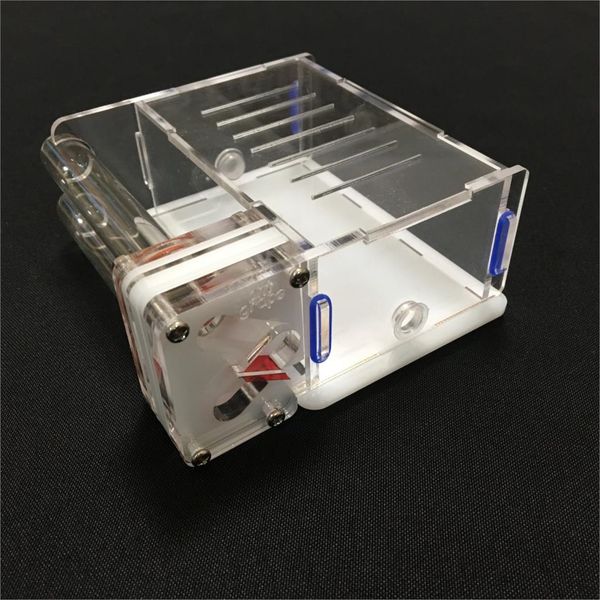 

ant grape 2 tube with feeding area ant nest ,ant farm acryl, insect ant villa pet mania for house ants other pet supplies