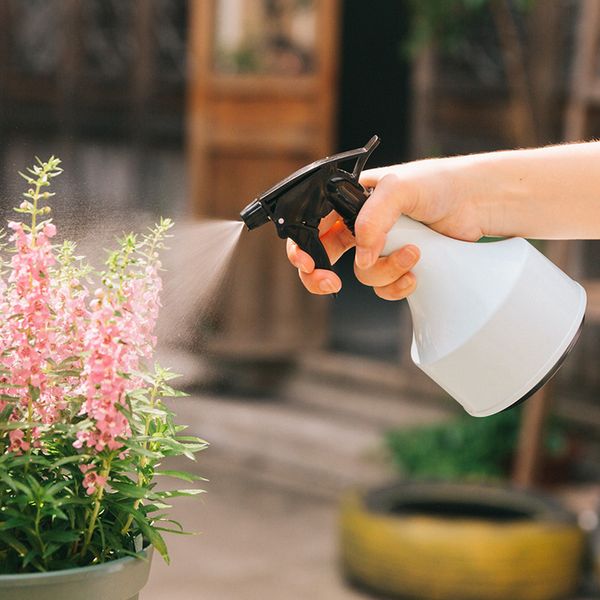 

home garden watering can flowers fleshiness spray bottle gardening watering kettle pressure type sprayer kettle