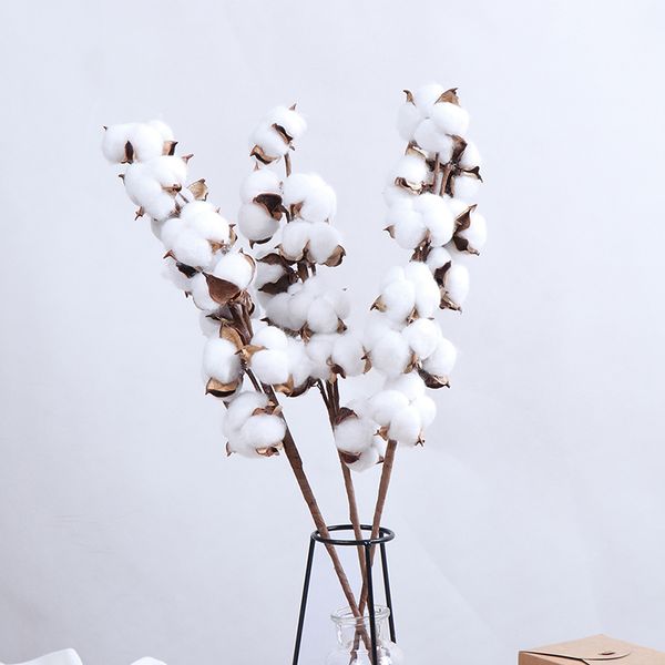 

1pc naturally dried cotton flower artificial plants floral branch for wedding party decoration fake flowers home decorflower