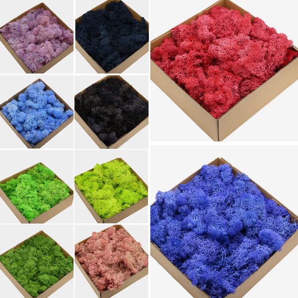 

1 box multiple colors artificial plants eternal life dried moss preserved decorative dried flowers wedding home decoration