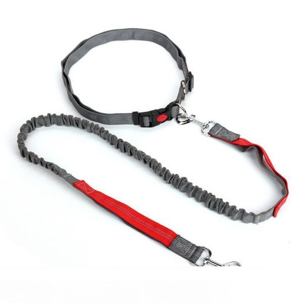 

night reflective elastic nylon breakaway leashes running hand waist belt jogging leads retractable leash for small pet dogs