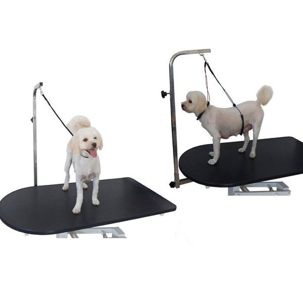 

pet grooming shower bath leashes accessories no-sit sucker dog grooming harness leash loop