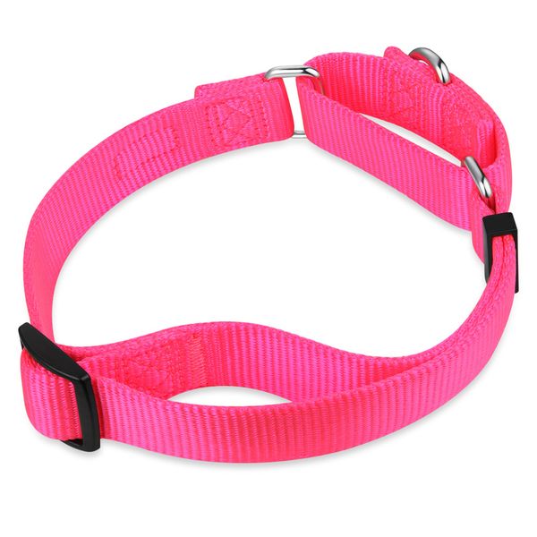 

nylon martingale training collar adjustable pet dog collar for large medium and small dogs supplies seven colors s/m/l hy139