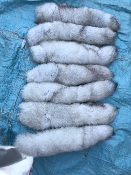 1pc-Real Blue Fox Fur Tail Keychians Cosplay Toy Portachiavi Auto Portachiavi Fascino del sacchetto Nappe