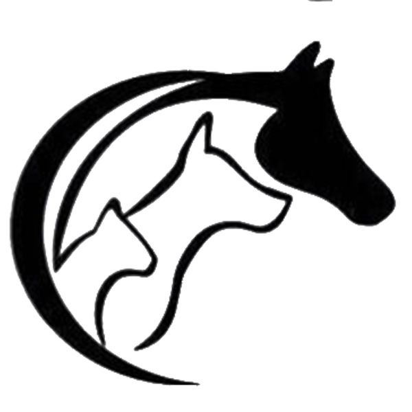 

15*13.4cm warm and romantic animals lover cat dog horse vinyl decal sticker car truck window bumper wall car decor