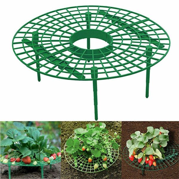 Morango suporte quadro titular varanda plantio rack de frutas suporte planta flor escalada videira pilar jardinagem suporte xbjk2003