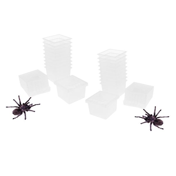 

20 pcs reptile food water feeder feeding spider basin insect turtle breeding